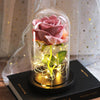 Mother’s Day LED rose gift
