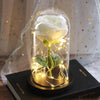 Glass dome rose home decor