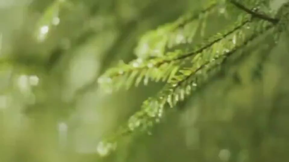 Sleep aid night light diffuser