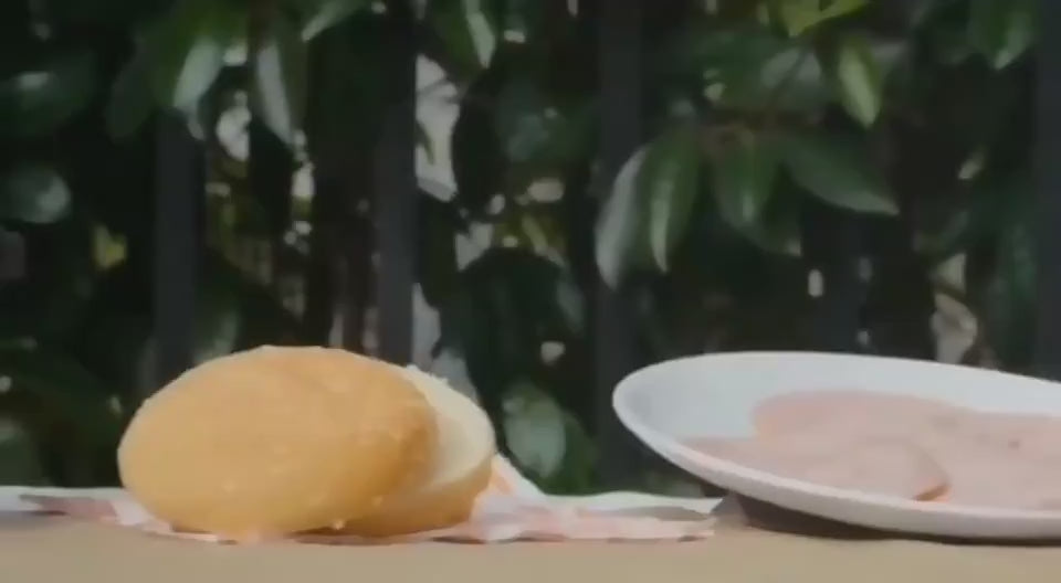 video portable breakfast sandwich cooker